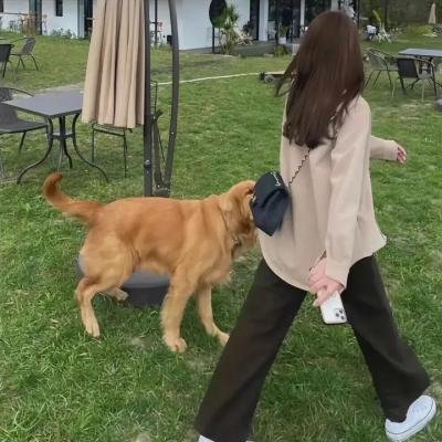 白宫水管工
